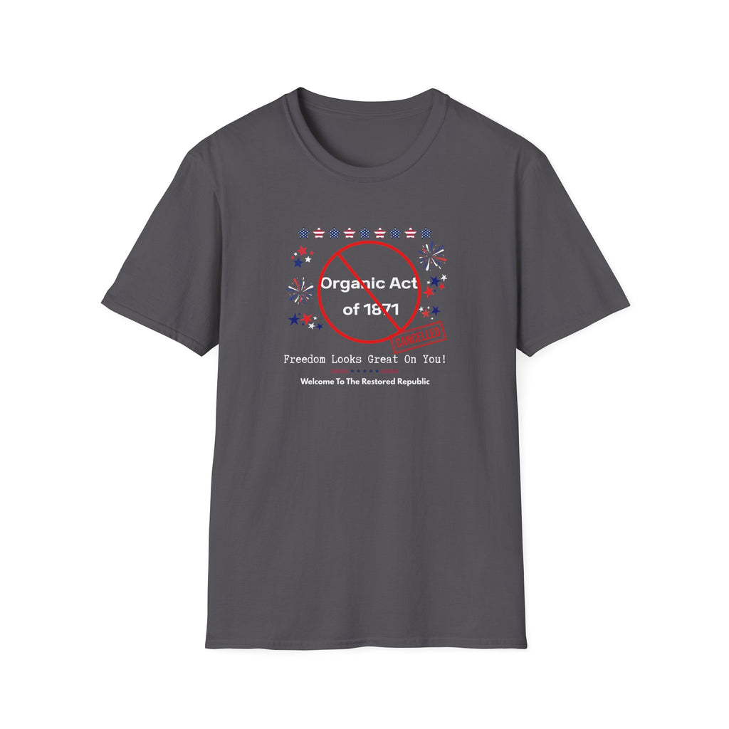 Act of 1871 Cancelled - Vintage Patriotic Freedom Tee - Hippie at Heart