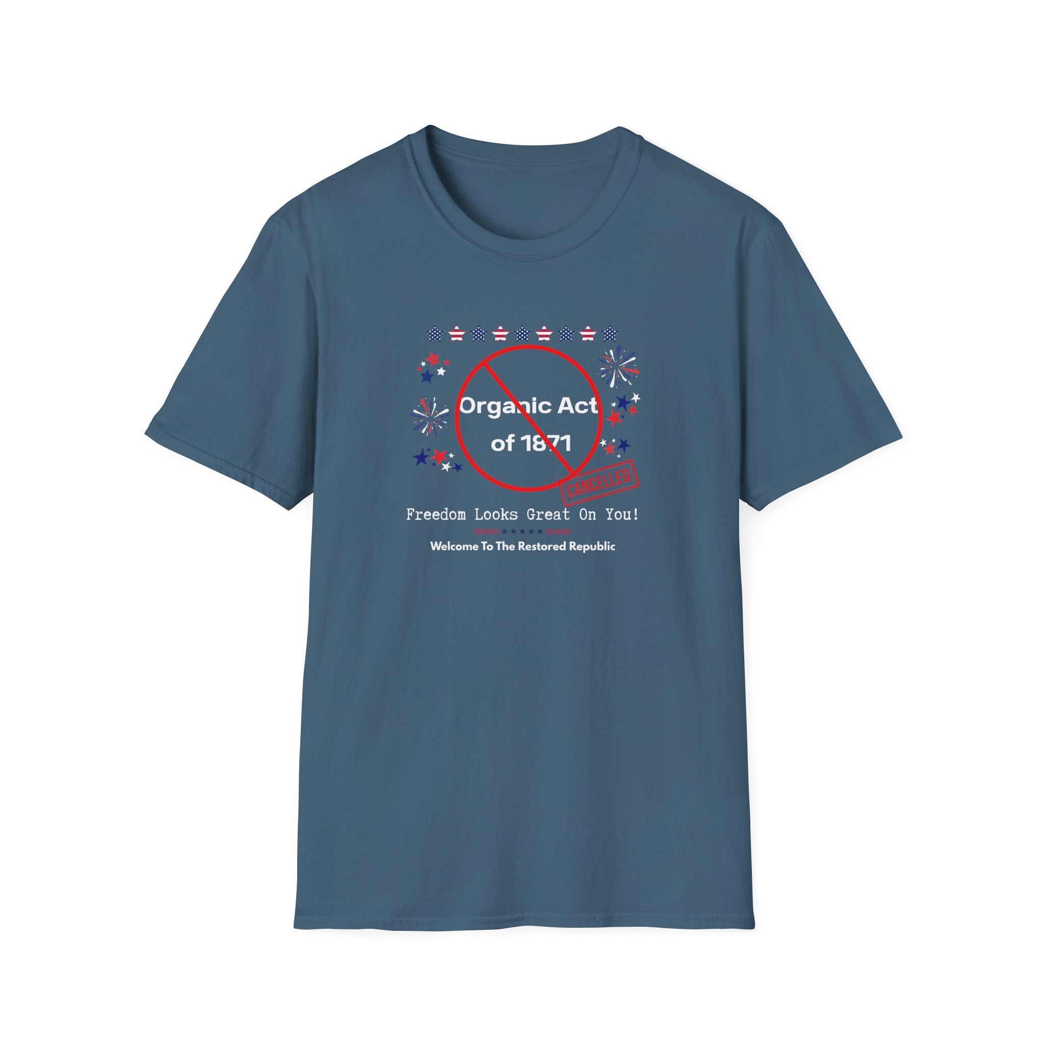 Act of 1871 Cancelled - Vintage Patriotic Freedom Tee - Hippie at Heart