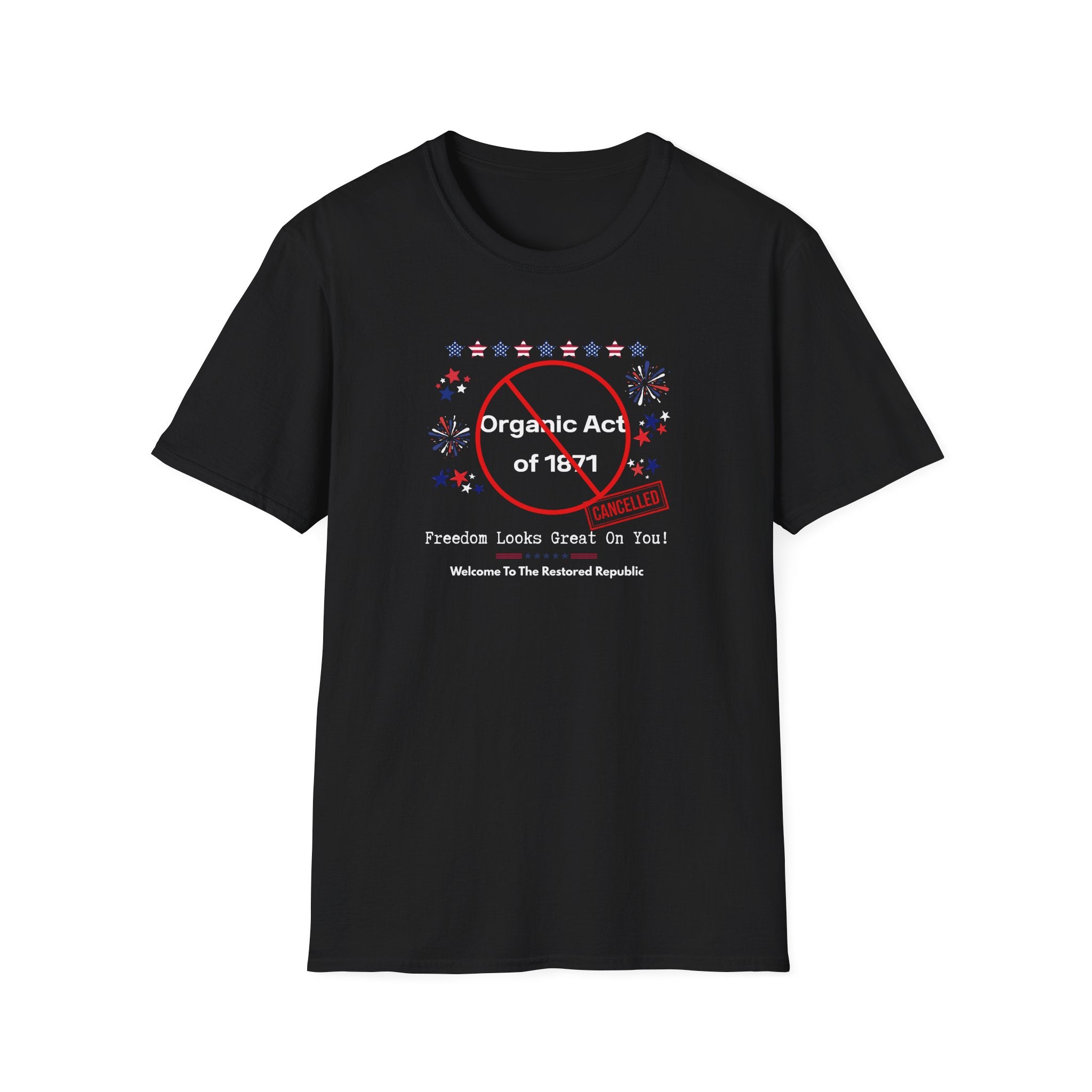 Act of 1871 Cancelled - Vintage Patriotic Freedom Tee - Hippie at Heart