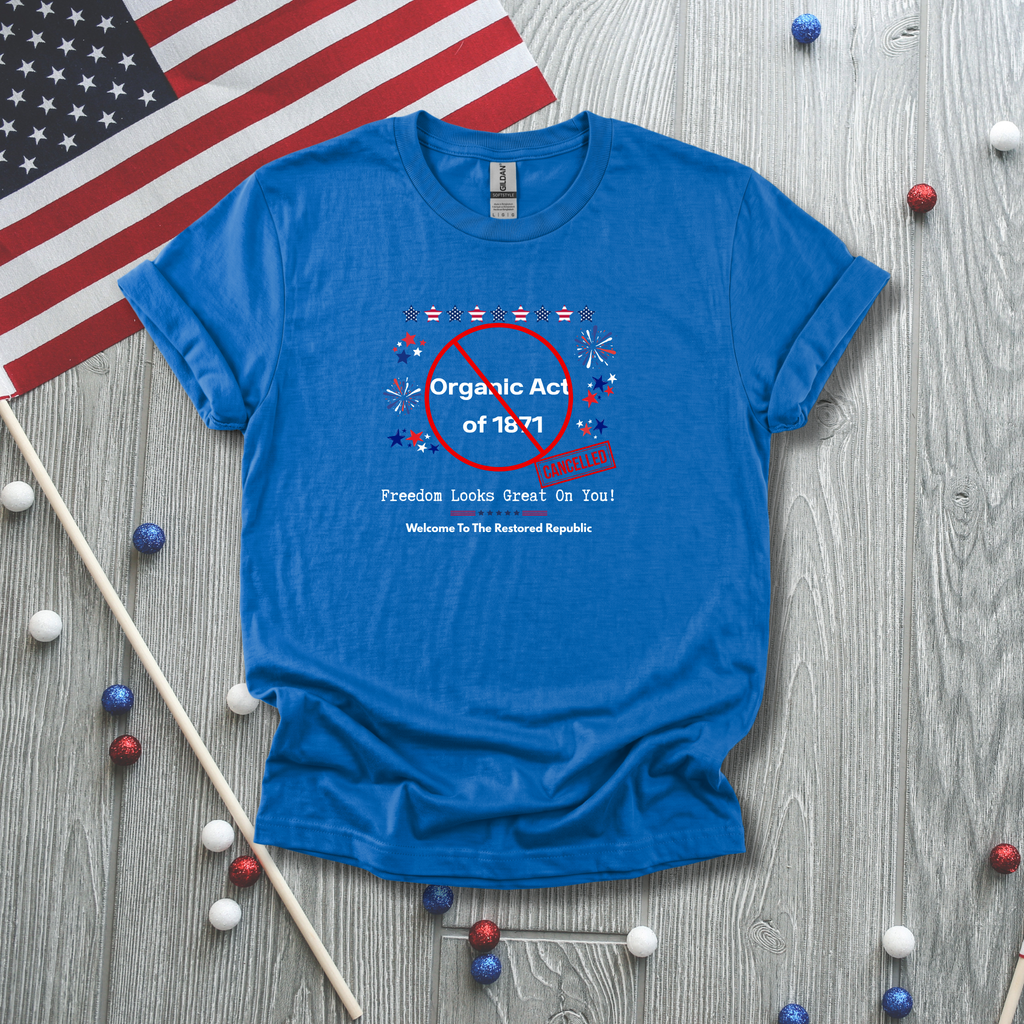 Act of 1871 Cancelled - Vintage Patriotic Freedom Tee - Hippie at Heart