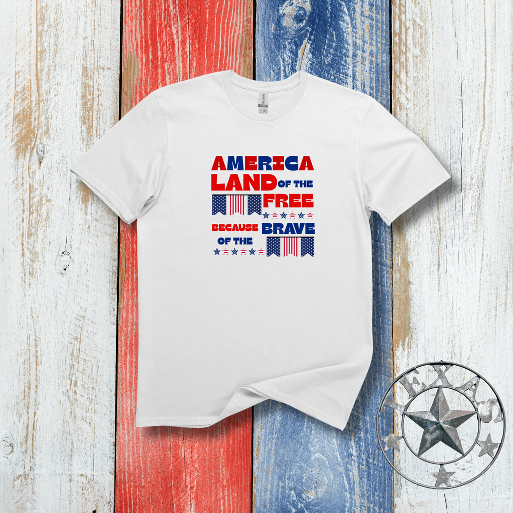 America, Land of the Free - Patriotic Salute to the Brave - Hippie at Heart